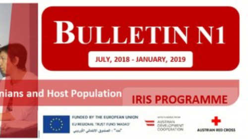 IRIS Programme Bulletin #1