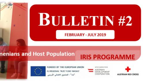 IRIS Programme Bulletin #2