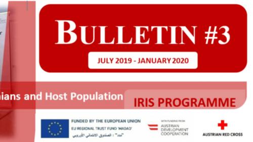 IRIS Programme Bulletin #3